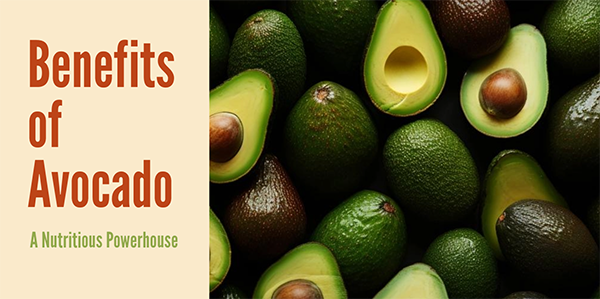 The Incredible Benefits of Avocado: A Nutritious Powerhouse